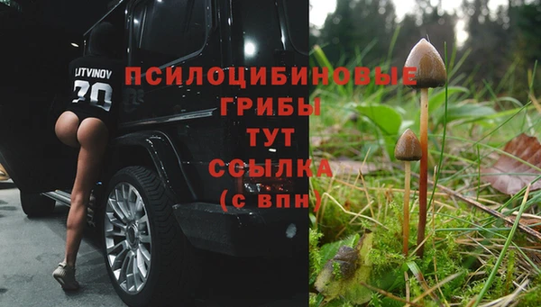 амфетамин Осинники