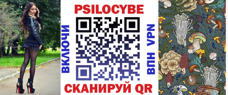 Купить закладки  Майкоп  Галлюциногенные грибы Psilocybine cubensis 